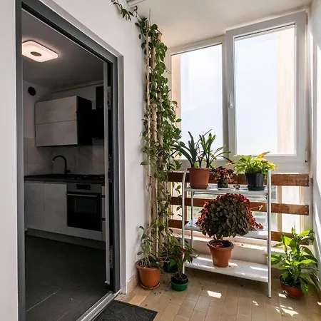 Apartment Minka Pula Exterior photo